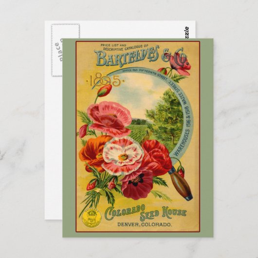 Barteldes Colorado Seed Company Art-kaarten Briefkaart (Voorkant / Achterkant)