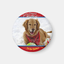 Barticus Kerstmagneet