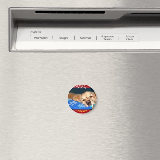 Barticus Kerstmagneet Magneet (Insitu (Vaatwasser))