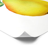 Bartlett Juicy Pear Fruit Kitchen Poster (Hoek)