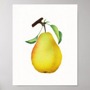 Bartlett Juicy Pear Fruit Kitchen Poster