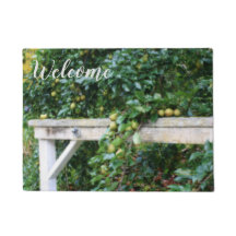 Bartlett Pears On Tree Country Welkom