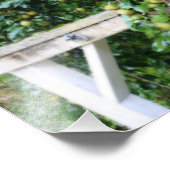 Bartlett Pears On Tree Orton Art 8x10 Foto Afdruk (Hoek)