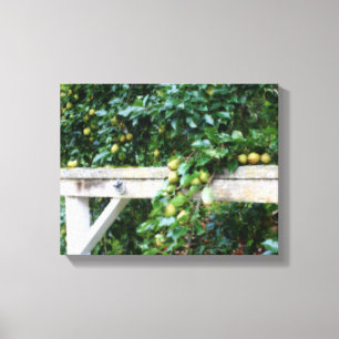 Bartlett Pears op Tree Hitching Post Canvas Afdruk