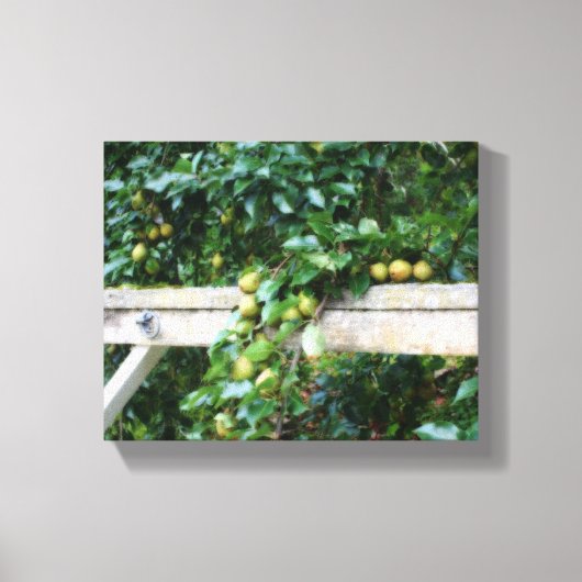 Bartlett Pears op Tree Hitching Post Canvas Afdruk (Voorkant)