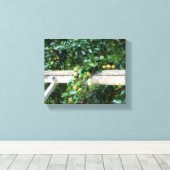 Bartlett Pears op Tree Hitching Post Canvas Afdruk (Insitu (Houten vloer))