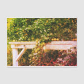 Bartlett peren op boom  kijken ontkoppeling tissuepapier (Voorkant)