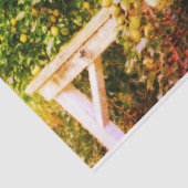 Bartlett peren op boom  kijken ontkoppeling tissuepapier (Detail)