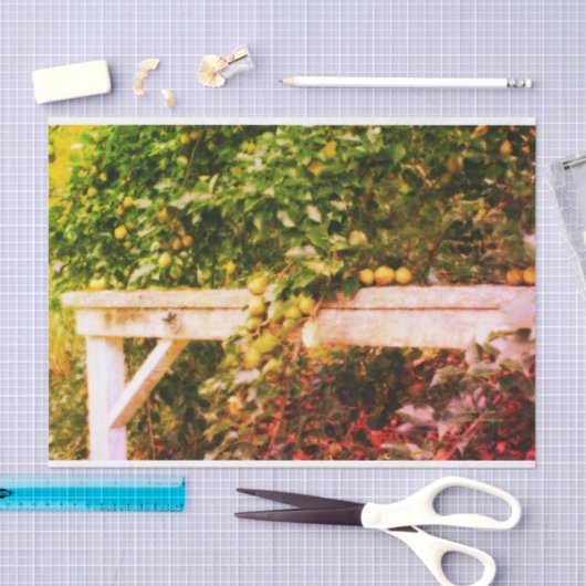 Bartlett peren op boom kijken ontkoppeling tissuepapier (Craft)