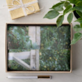 Bartlett peren op de ontkoppeling van het boomeffe tissuepapier (Geschenk)