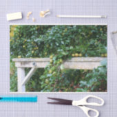 Bartlett peren op de ontkoppeling van het boomeffe tissuepapier (Craft)