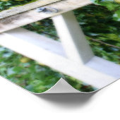 Bartlett peren op het boomortoneffect poster (Hoek)