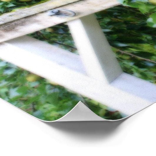 Bartlett peren op het boomortoneffect poster (Hoek)