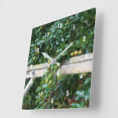 Bartlett peren op het boomortoneffect vierkante klok (Hoek)