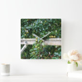 Bartlett peren op het boomortoneffect vierkante klok (Huis)