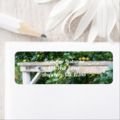 Bartlett peren op het het effect van de Boom Orton Etiket (Insitu)