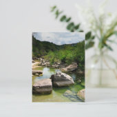 Barton Creek 2 - Austin Texas Briefkaart (Staand voorkant)