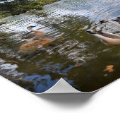 Barton Creek bij Lady Bird Lake - Austin, Texas Poster (Hoek)