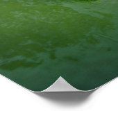 Barton Creek Cliffs - Austin Texas Poster (Hoek)