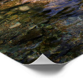 Barton Creek Dog Swimming Hole - Austin Texas Poster (Hoek)