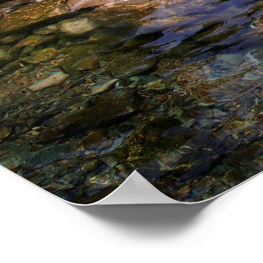 Barton Creek Dog Swimming Hole - Austin Texas Poster (Hoek)