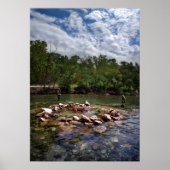 Barton Creek Dog Swimming Hole - Austin Texas Poster (Voorkant)