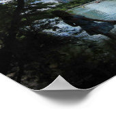 Barton Creek/Ladybird Lake - Austin, Texas Poster (Hoek)