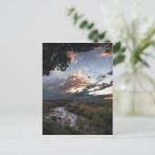 Barton Creek Sunset - Austin, Texas Briefkaart (Staand voorkant)