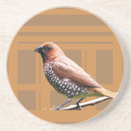 Barware & Bar Tools > Onderzetters (Voorkant)