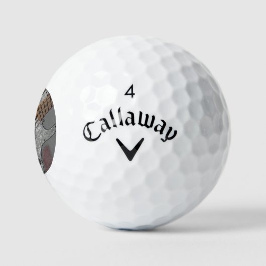 Bas 4 css gbcnm golfballen (Logo)