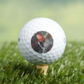 Bas 4 cwb gbcnm golfballen (Insitu Shirt)