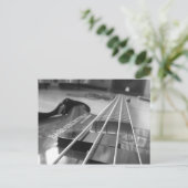 Bas in zwart briefkaart (Staand voorkant)