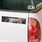 Bas Relief, Ishtar Lion Gate - Istanbul Bumpersticker (Op Truck)