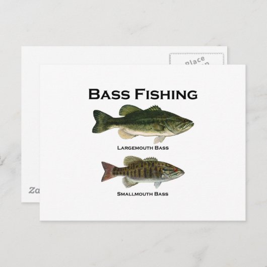 Bas Vissen Logo (largemouth - smallmouth) Briefkaart (Voorkant / Achterkant)