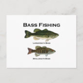 Bas Vissen Logo (largemouth - smallmouth) Briefkaart (Voorkant)