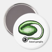 Basal Ganglia Magnet (Voorkant / Achterkant)