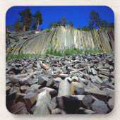 Basalformaties van Devils Postpile Bier Onderzetter (Voorkant)