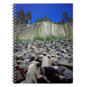 Basalformaties van Devils Postpile Notitieboek (Voorkant)