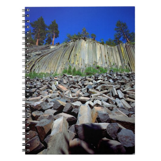 Basalformaties van Devils Postpile Notitieboek (Voorkant)
