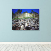 Basalt Formations of Devils Postpile Canvas Afdruk (Insitu (Houten vloer))