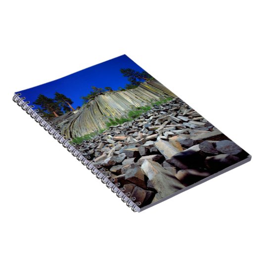 Basalt Formations of Devils Postpile Notitieboek (Rechterzijde)