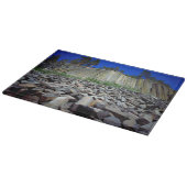 Basalt Formations of Devils Postpile Snijplank (Hoek)