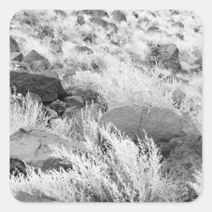 Basalt Lava Rocks Southwest Black en White Photo Vierkante Sticker