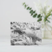 Basalt lava rotsen in woestijn, zwart en wit foto briefkaart (Staand voorkant)