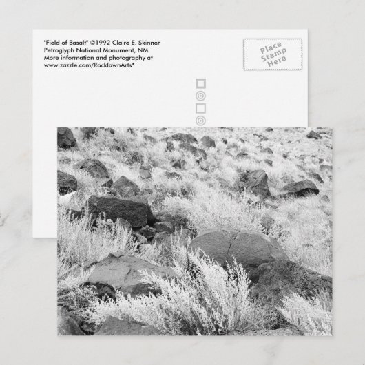 Basalt lava rotsen in woestijn, zwart en wit foto briefkaart (Voorkant / Achterkant)