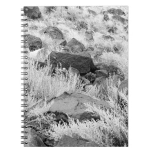 Basalt lava rotsen in woestijn, zwart en wit foto notitieboek