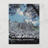 Basaltzuilen, duivels postpile Nationaal Monument Briefkaart (Voorkant)