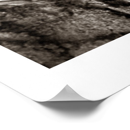 Baseball1 Poster afdrukken (Hoek)