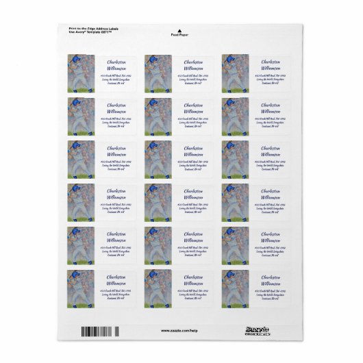 Baseball-adres Etiket (Full Sheet)