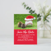 Baseball behalve de kerstfeestdag Postca Briefkaart (Staand voorkant)